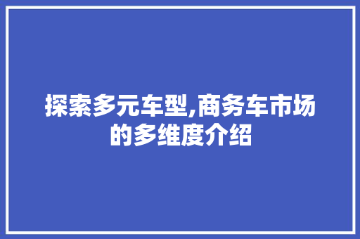 探索多元车型,商务车市场的多维度介绍