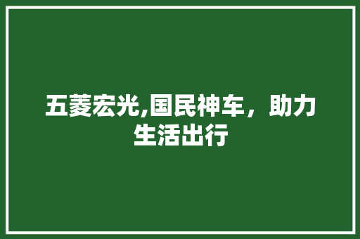 五菱宏光,国民神车，助力生活出行