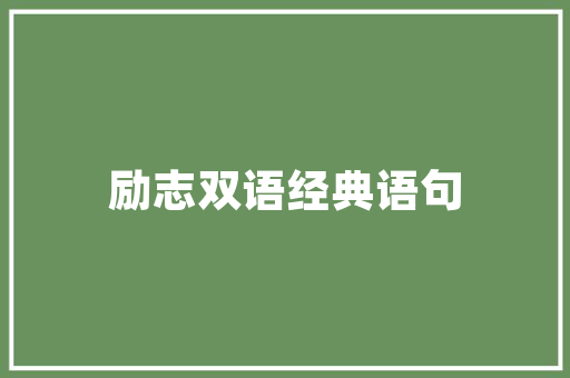 探索女性专属座驾_说女生车型的新时代魅力