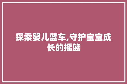 探索婴儿蓝车,守护宝宝成长的摇篮