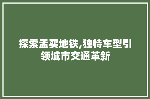 探索孟买地铁,独特车型引领城市交通革新