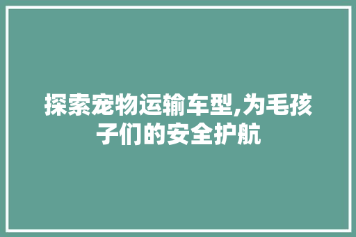 探索宠物运输车型,为毛孩子们的安全护航