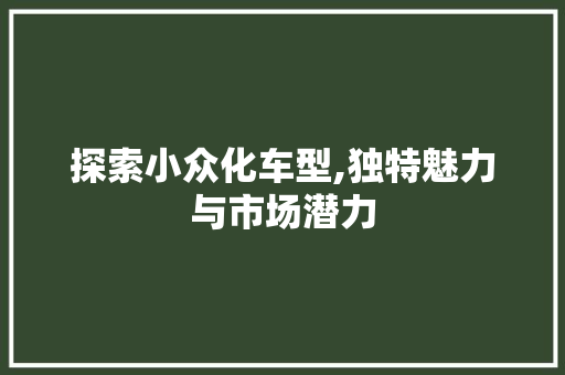探索小众化车型,独特魅力与市场潜力