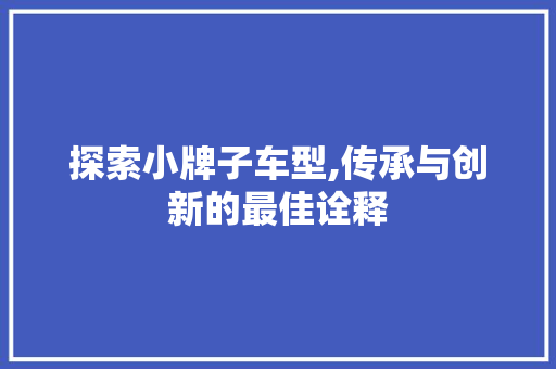 探索小牌子车型,传承与创新的最佳诠释