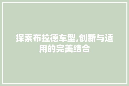 探索布拉德车型,创新与适用的完美结合