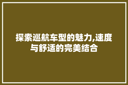 探索巡航车型的魅力,速度与舒适的完美结合