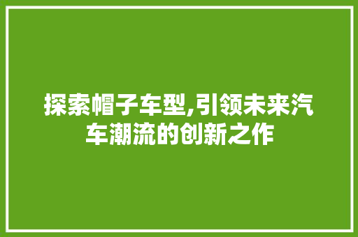 探索帽子车型,引领未来汽车潮流的创新之作