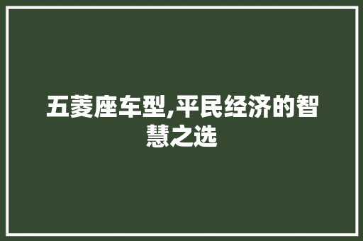 五菱座车型,平民经济的智慧之选