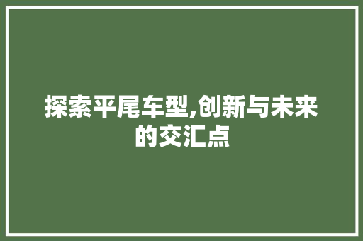 探索平尾车型,创新与未来的交汇点