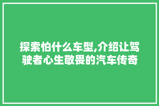 探索怕什么车型,介绍让驾驶者心生敬畏的汽车传奇