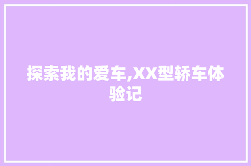 探索我的爱车,XX型轿车体验记