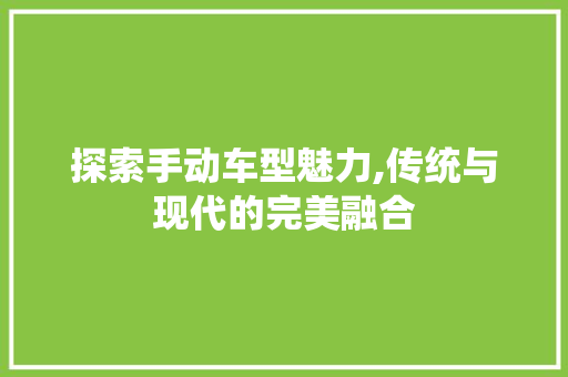 探索手动车型魅力,传统与现代的完美融合