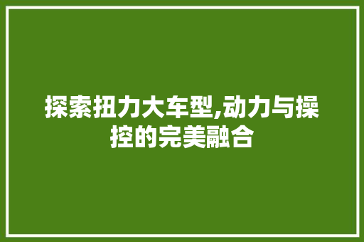 探索扭力大车型,动力与操控的完美融合 车身配件
