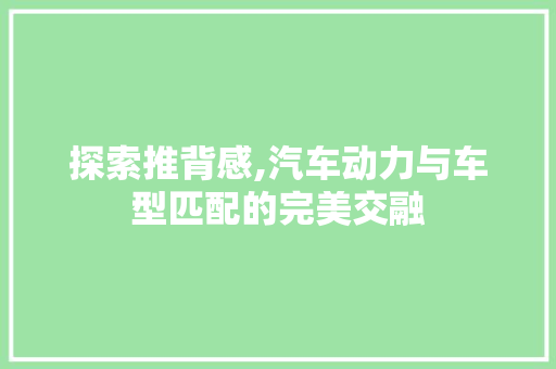 探索推背感,汽车动力与车型匹配的完美交融