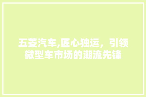 五菱汽车,匠心独运，引领微型车市场的潮流先锋