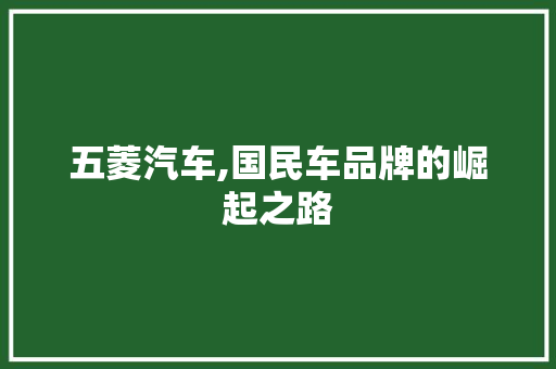 五菱汽车,国民车品牌的崛起之路