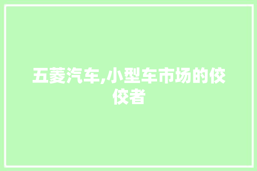 五菱汽车,小型车市场的佼佼者
