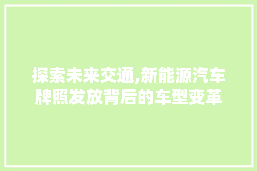 探索未来交通,新能源汽车牌照发放背后的车型变革