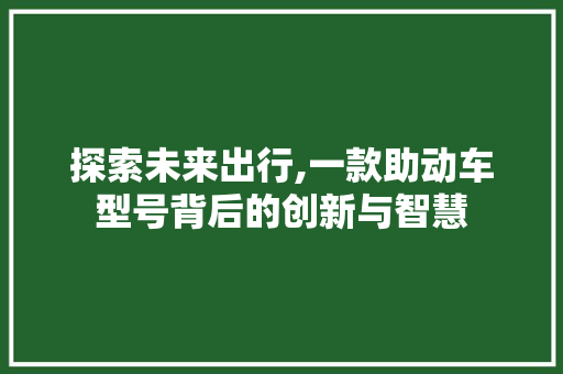 探索未来出行,一款助动车型号背后的创新与智慧