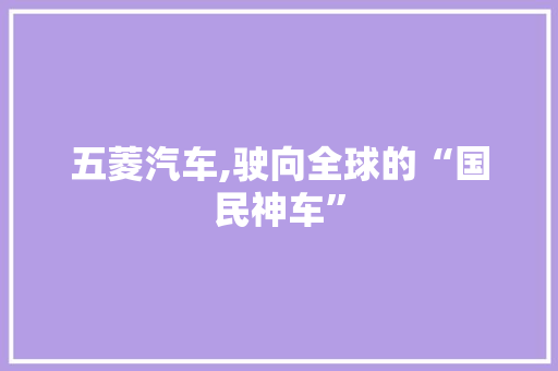 五菱汽车,驶向全球的“国民神车”