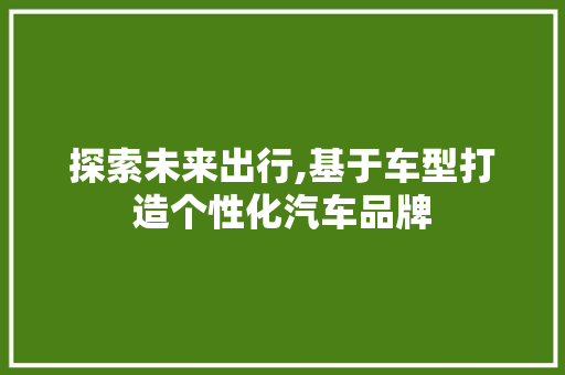 探索未来出行,基于车型打造个性化汽车品牌