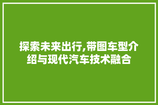 探索未来出行,带图车型介绍与现代汽车技术融合