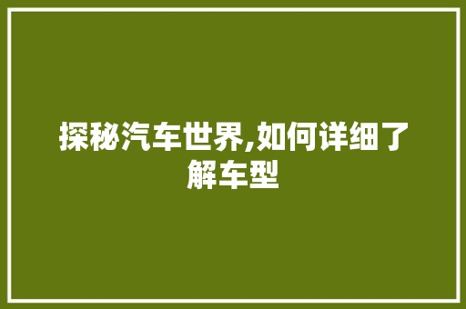 探秘汽车世界,如何详细了解车型