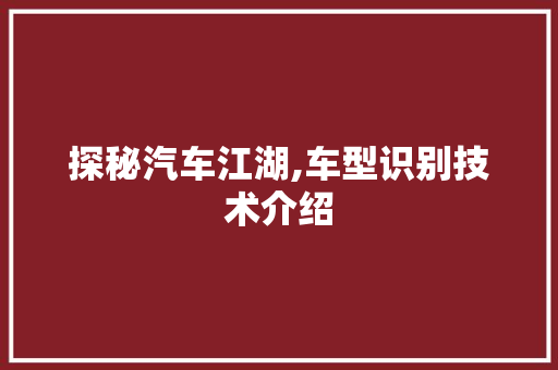 探秘汽车江湖,车型识别技术介绍