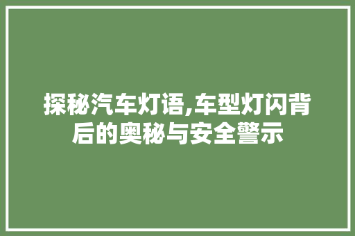 探秘汽车灯语,车型灯闪背后的奥秘与安全警示