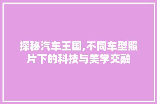 探秘汽车王国,不同车型照片下的科技与美学交融