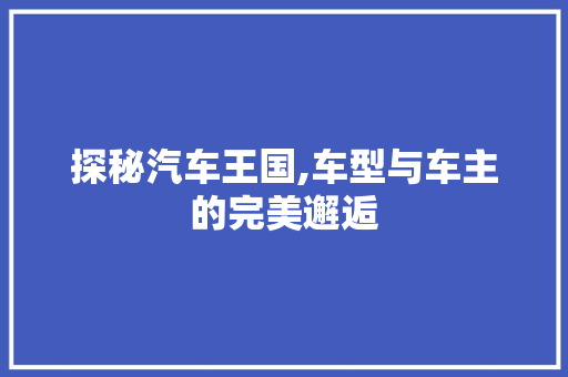 探秘汽车王国,车型与车主的完美邂逅