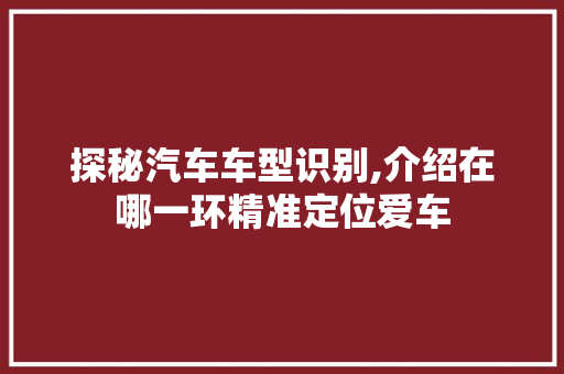 探秘汽车车型识别,介绍在哪一环精准定位爱车