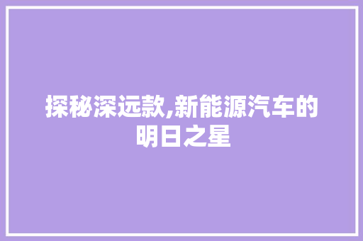 探秘深远款,新能源汽车的明日之星
