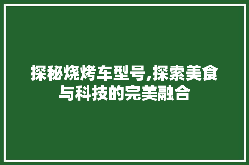 探秘烧烤车型号,探索美食与科技的完美融合