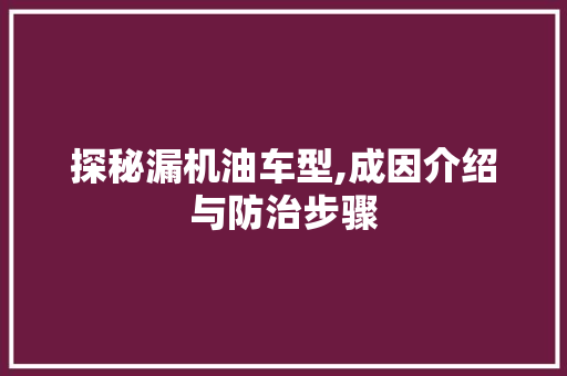 探秘漏机油车型,成因介绍与防治步骤