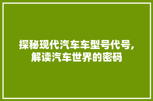 探秘现代汽车车型号代号,解读汽车世界的密码