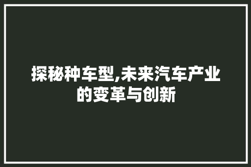 探秘种车型,未来汽车产业的变革与创新