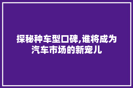 探秘种车型口碑,谁将成为汽车市场的新宠儿