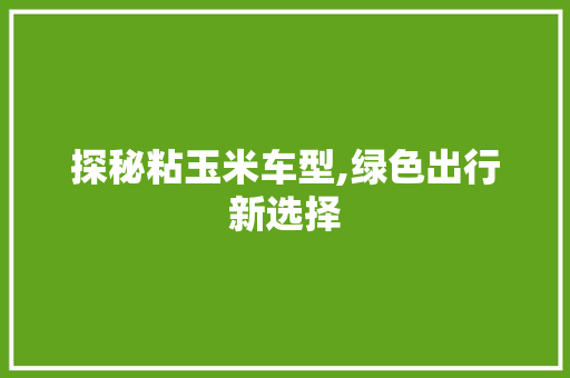 探秘粘玉米车型,绿色出行新选择