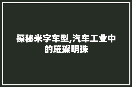 探秘米字车型,汽车工业中的璀璨明珠