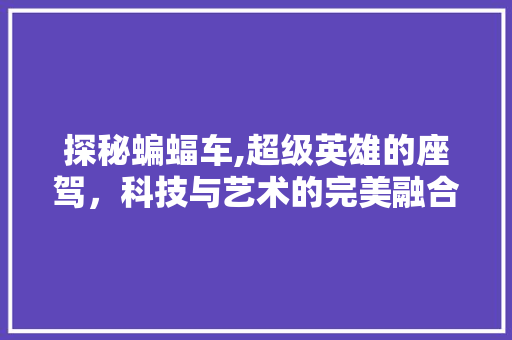 探秘蝙蝠车,超级英雄的座驾，科技与艺术的完美融合