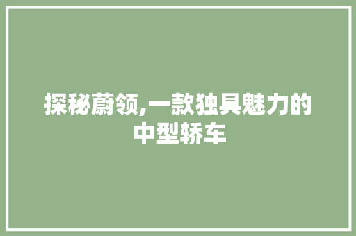 探秘蔚领,一款独具魅力的中型轿车