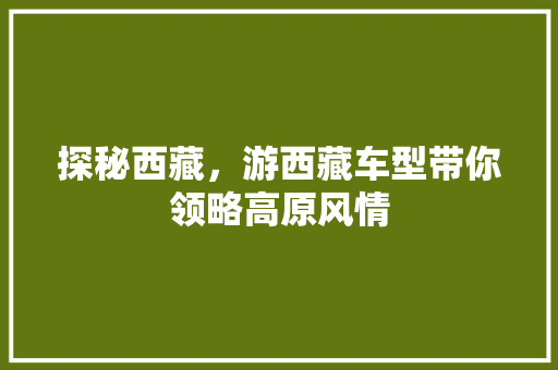 探秘西藏，游西藏车型带你领略高原风情