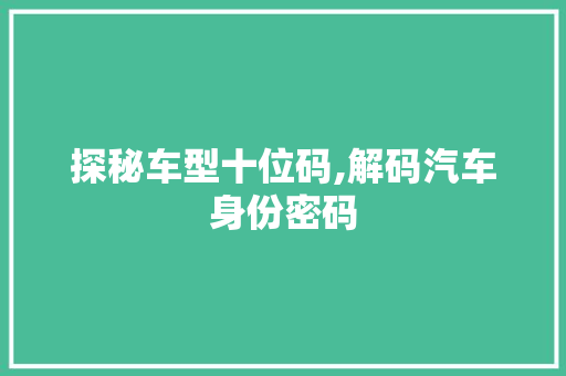 探秘车型十位码,解码汽车身份密码