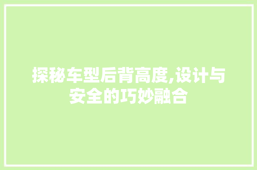 探秘车型后背高度,设计与安全的巧妙融合