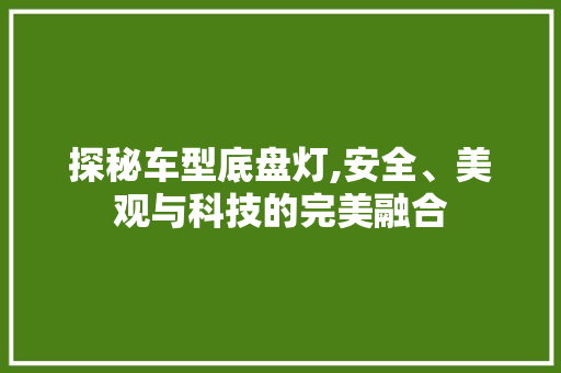 探秘车型底盘灯,安全、美观与科技的完美融合