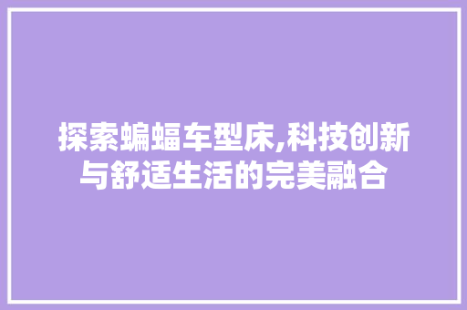 探索蝙蝠车型床,科技创新与舒适生活的完美融合