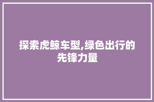 探索虎鲸车型,绿色出行的先锋力量