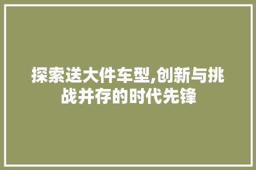 探索送大件车型,创新与挑战并存的时代先锋