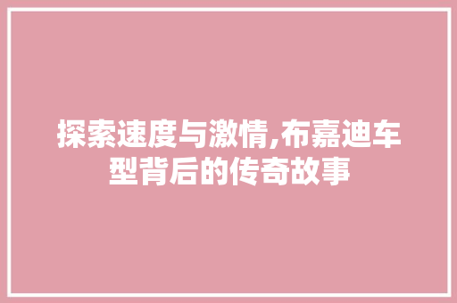 探索速度与激情,布嘉迪车型背后的传奇故事